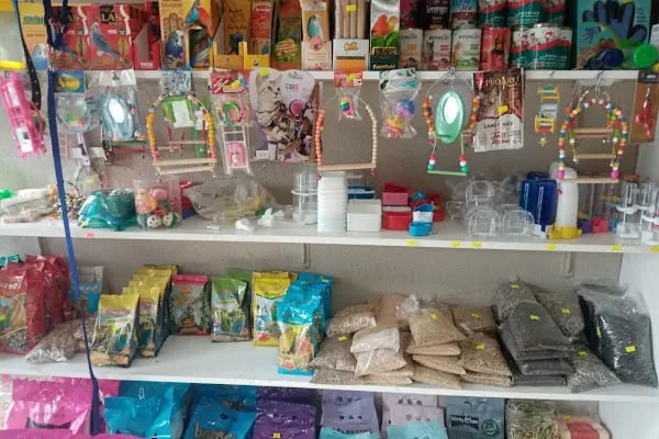 Rastgele petshop - Resim 20