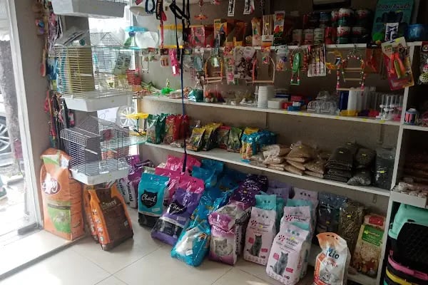 Rastgele petshop - Resim 16