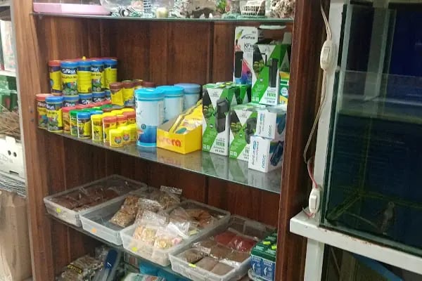 Rastgele petshop - Resim 12