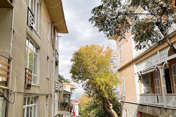Taşfırın lovemacunn - Resim 20