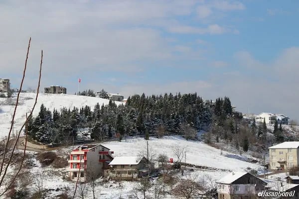 Döngel Merkez Mezarlığı - Resim 9