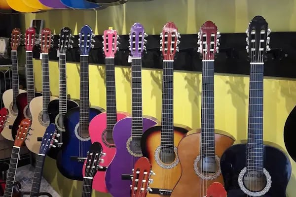 gitarist müzik aletleri - Resim 5