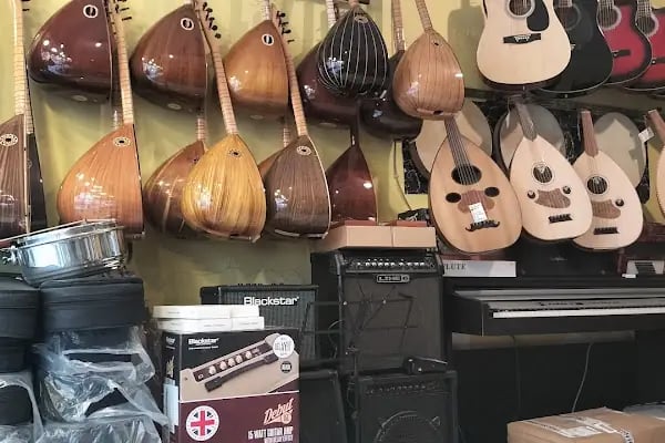 gitarist müzik aletleri - Resim 14