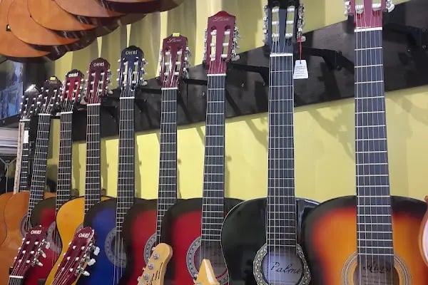 gitarist müzik aletleri - Resim 13