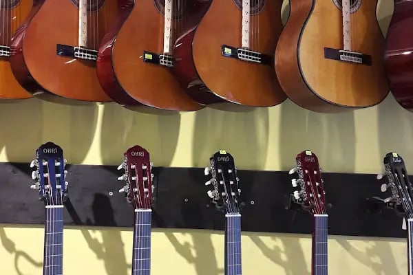 gitarist müzik aletleri - Resim 15