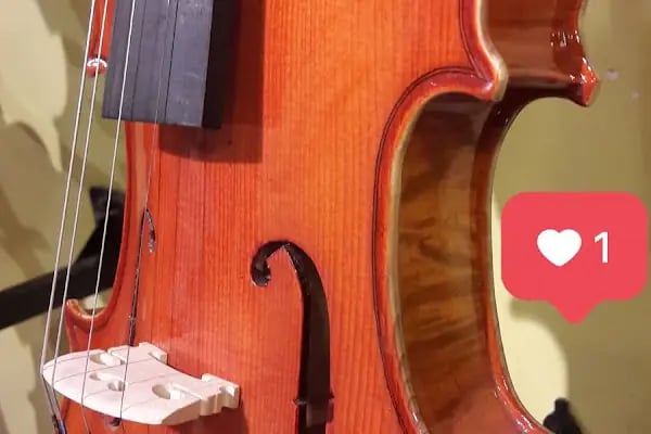 gitarist müzik aletleri - Resim 10