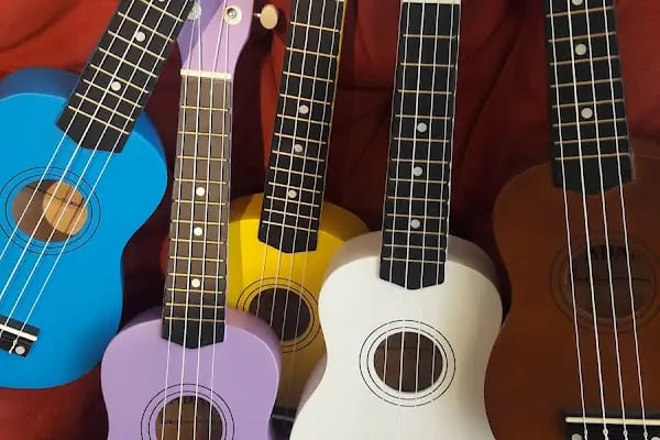 gitarist müzik aletleri - Resim 6