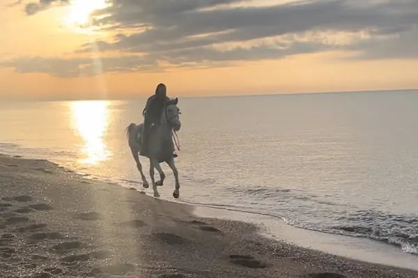 OASİS RANCH & AT ÇİFTLİĞİ - Resim 20