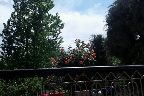 Muzaffer Mobilya - Merkez Mağaza - Resim 5
