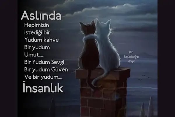 Anadolu Mahallesi Muhtarlığı - Resim 8