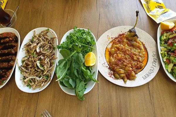Ciğerci Cüneyt Usta Çınar - Resim 4