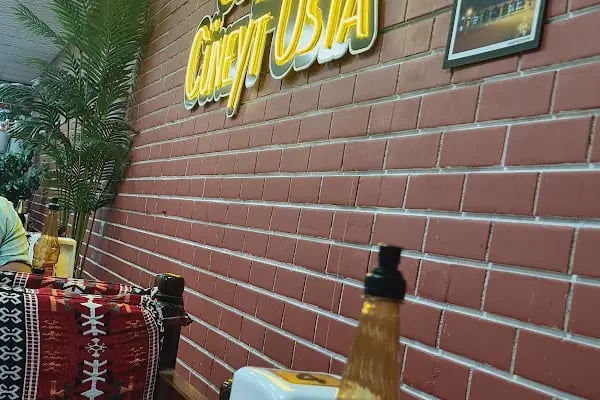 Ciğerci Cüneyt Usta Çınar - Resim 5