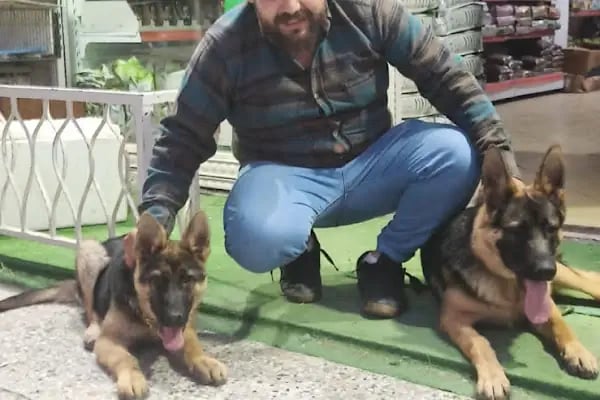 ENPATİ PETSHOP - Resim 19