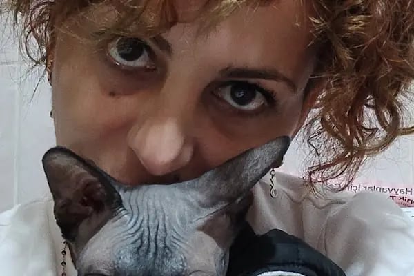 Di-Vet Veteriner Kliniği - Resim 16