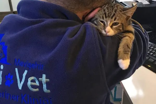 Di-Vet Veteriner Kliniği - Resim 15