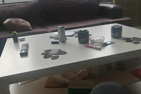 Di-Vet Veteriner Kliniği - Resim 9