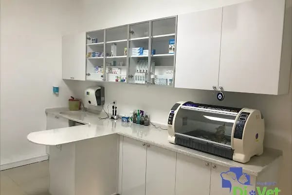 Di-Vet Veteriner Kliniği - Resim 10
