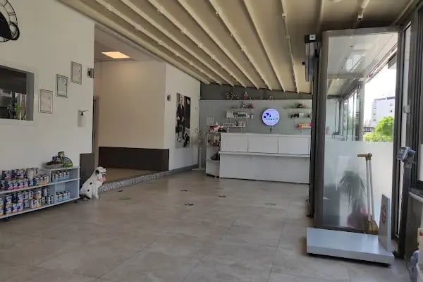 Di-Vet Veteriner Kliniği - Resim 3