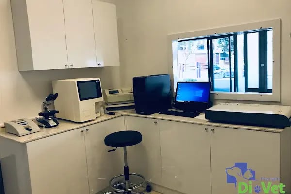 Di-Vet Veteriner Kliniği - Resim 13