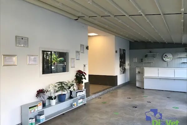 Di-Vet Veteriner Kliniği - Resim 14