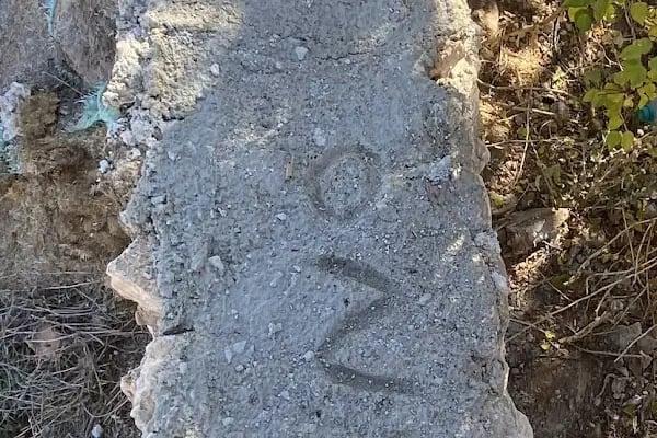 Yörük oglu tarım ve hayvancılık - Resim 8