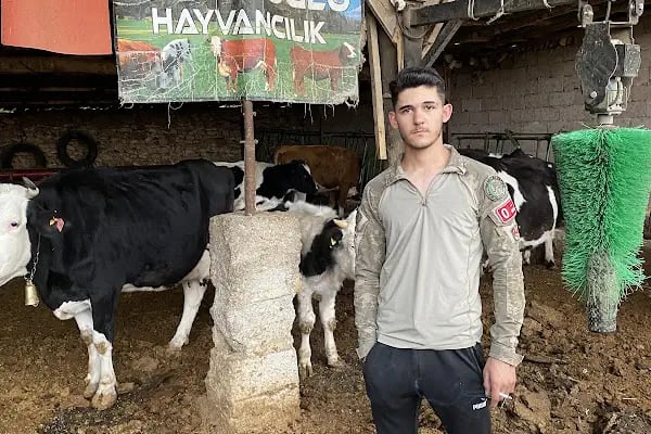 Yörük oglu tarım ve hayvancılık - Resim 4