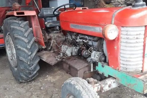 Yörük oglu tarım ve hayvancılık - Resim 14