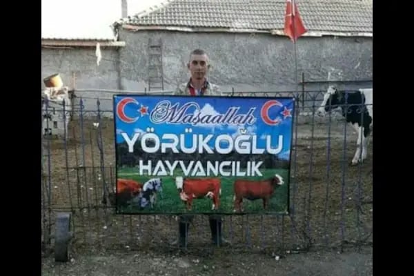 Yörük oglu tarım ve hayvancılık - Resim 12