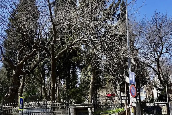 İçerenköy Mezarlığı - Resim 8