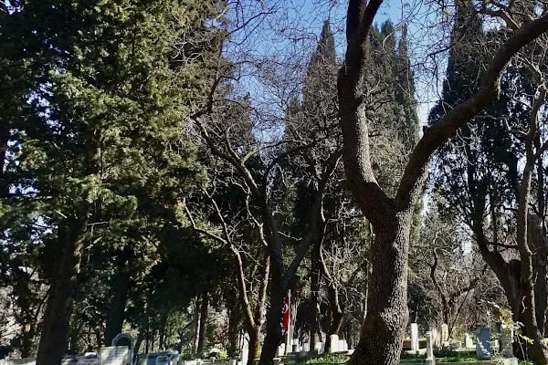 İçerenköy Mezarlığı - Resim 5