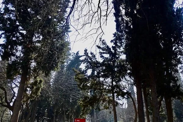 İçerenköy Mezarlığı - Resim 10