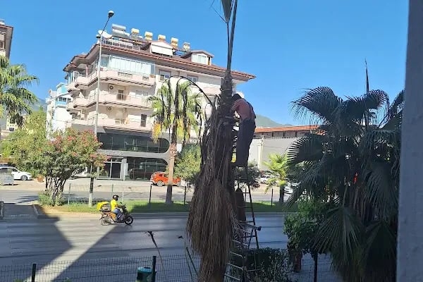 PEKCAN BEACH 9 / UĞUR KAYA - Resim 3