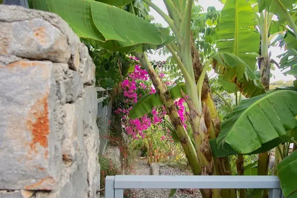 Begonville Apartments Villa Sarıgerme - Resim 13