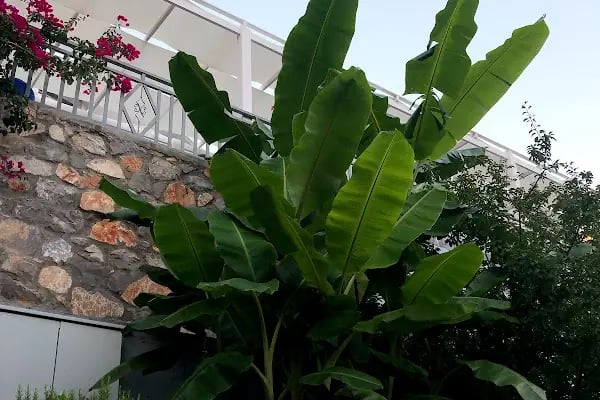 Begonville Apartments Villa Sarıgerme - Resim 19