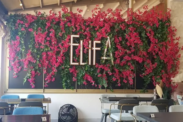 Elifa - Resim 10