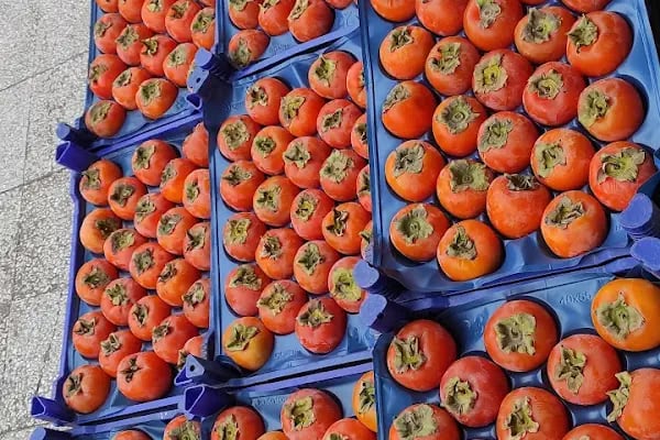 Modamar Market - Resim 12