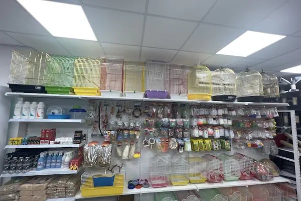 Başak Petshop - Resim 6