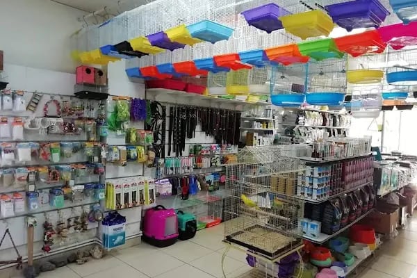 Başak Petshop - Resim 11
