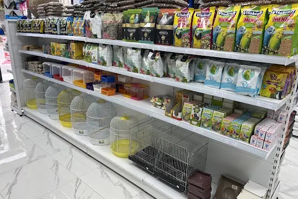 Başak Petshop - Resim 7