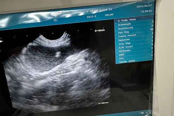 Patimate Bornova Veteriner Kliniği - Resim 3