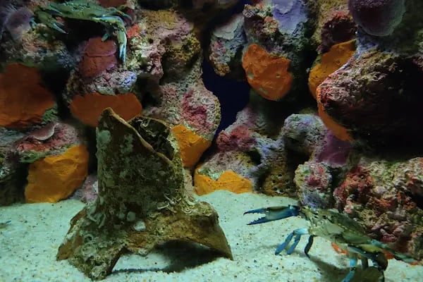 Funtastic Aquariums İzmir - Resim 15