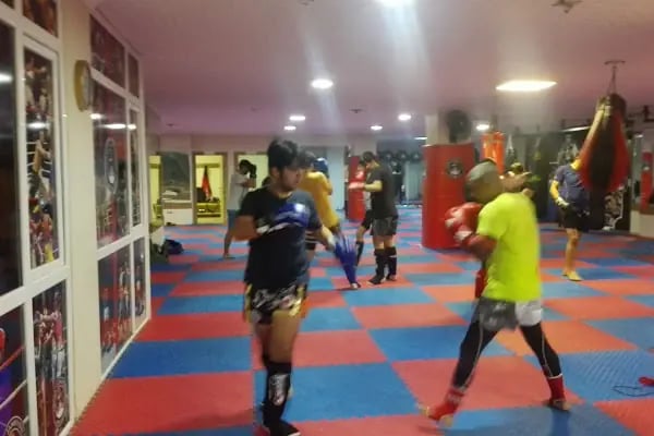 Şampiyonlar Spor Kulübü - Resim 4