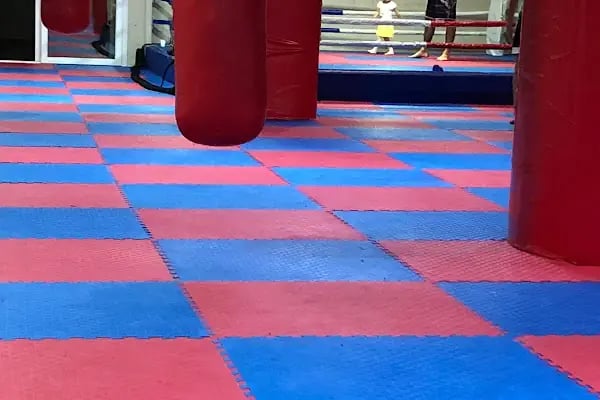 Şampiyonlar Spor Kulübü - Resim 7