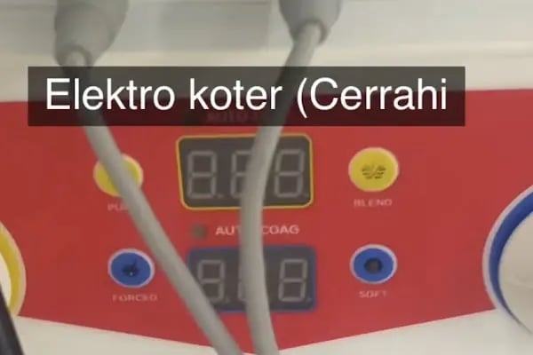 Petunya Veteriner Kliniği - Resim 9