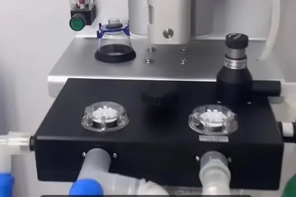 Petunya Veteriner Kliniği - Resim 11