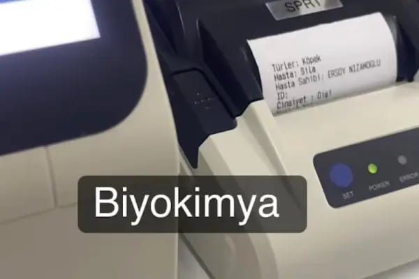Petunya Veteriner Kliniği - Resim 12