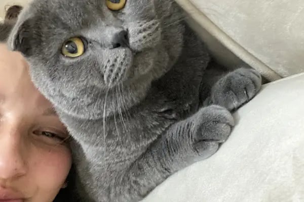Petunya Veteriner Kliniği - Resim 2