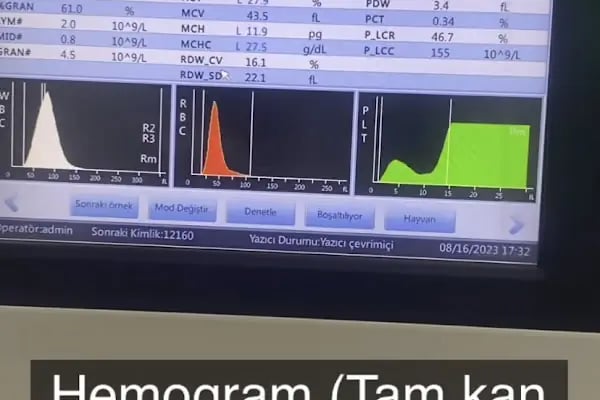 Petunya Veteriner Kliniği - Resim 8