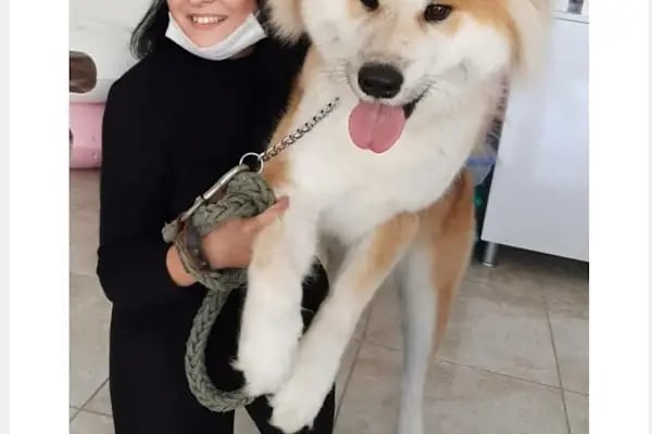 Petunya Veteriner Kliniği - Resim 5