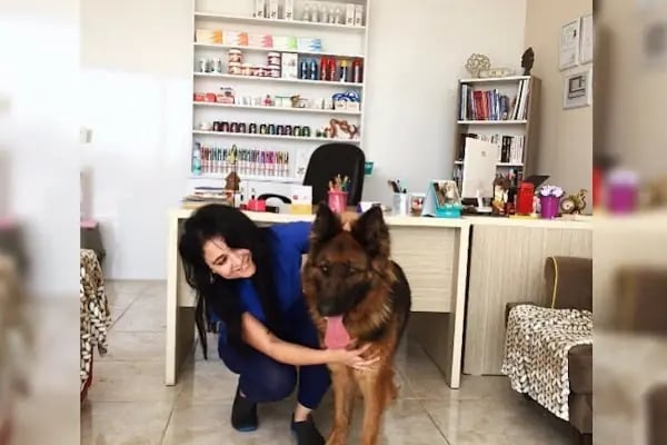 Petunya Veteriner Kliniği - Resim 6